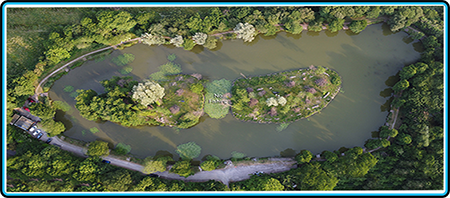 Ponds Image